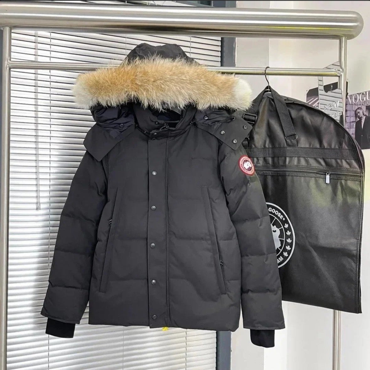 Canada Goose